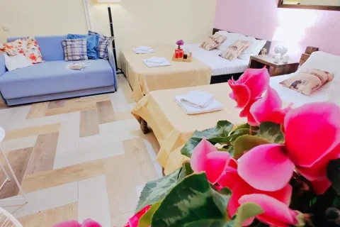 5-ти местный с мини кухней
